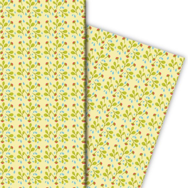 Kartenkaufrausch: Gänseblümchen Geschenkpapier für tolle aus unserer florale Papeterie in multicolor