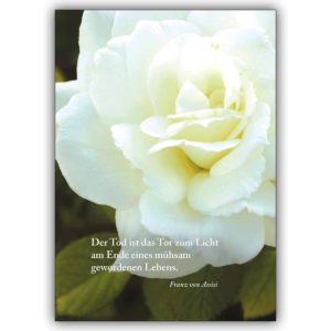 Schöne Trauerkarte mit Rose: Der Tod ist das Tor zum Licht…