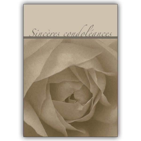 französische Kondolenzkarte mit Rose: Sincères condoléances