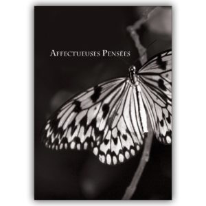 Feine Trauerkarte mit Schmetterling, französisch: Affectueuses Pensées