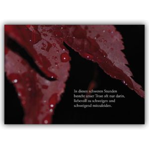 Moderne Trauerkarte mit rotem Laub: In diesen schweren Stunden besteht unser Trost…