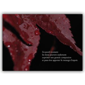 Französische Trauerkarte mit rotem Laub: En pareil moment les mots…