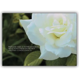 Französische Trauerkarte mit Rose: Prenant part à votre douleur…