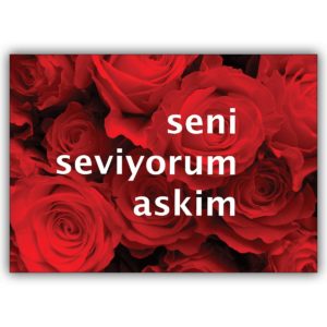 Türkische Romantik Grußkarte mit roten Rosen: seni seviyorum askim