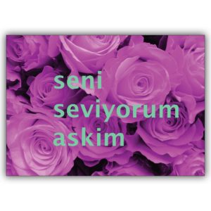 Türkische Grußkarte mit romantischen Rosen, pink: seni seviyorum askim
