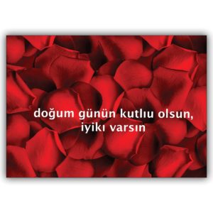 Türkische Grusskarte mit roten Rosenblättern: dogum günün kutliu olsun, iyiki varsin