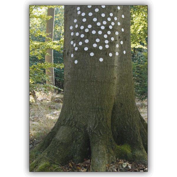 Künstlerische Landschafts Foto Klappkarte: My Special Tree
