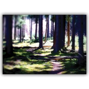 Wunderschöne Märchenwald Grußkarte für Romantiker und Natur Freunde