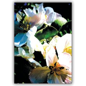 Traumhafte Grußkarte für Garten Liebhaber: Im Apfelblütenrausch