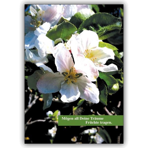 Traumhafte Grußkarte mit Apfel Blüte: Mögen all Deine Träume Früchte tragen