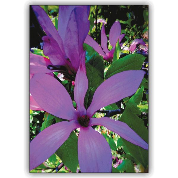 Florale Blumen Grußkarte: ein Rausch in lila zum Geburtstag, Jubiläum, Geschenk