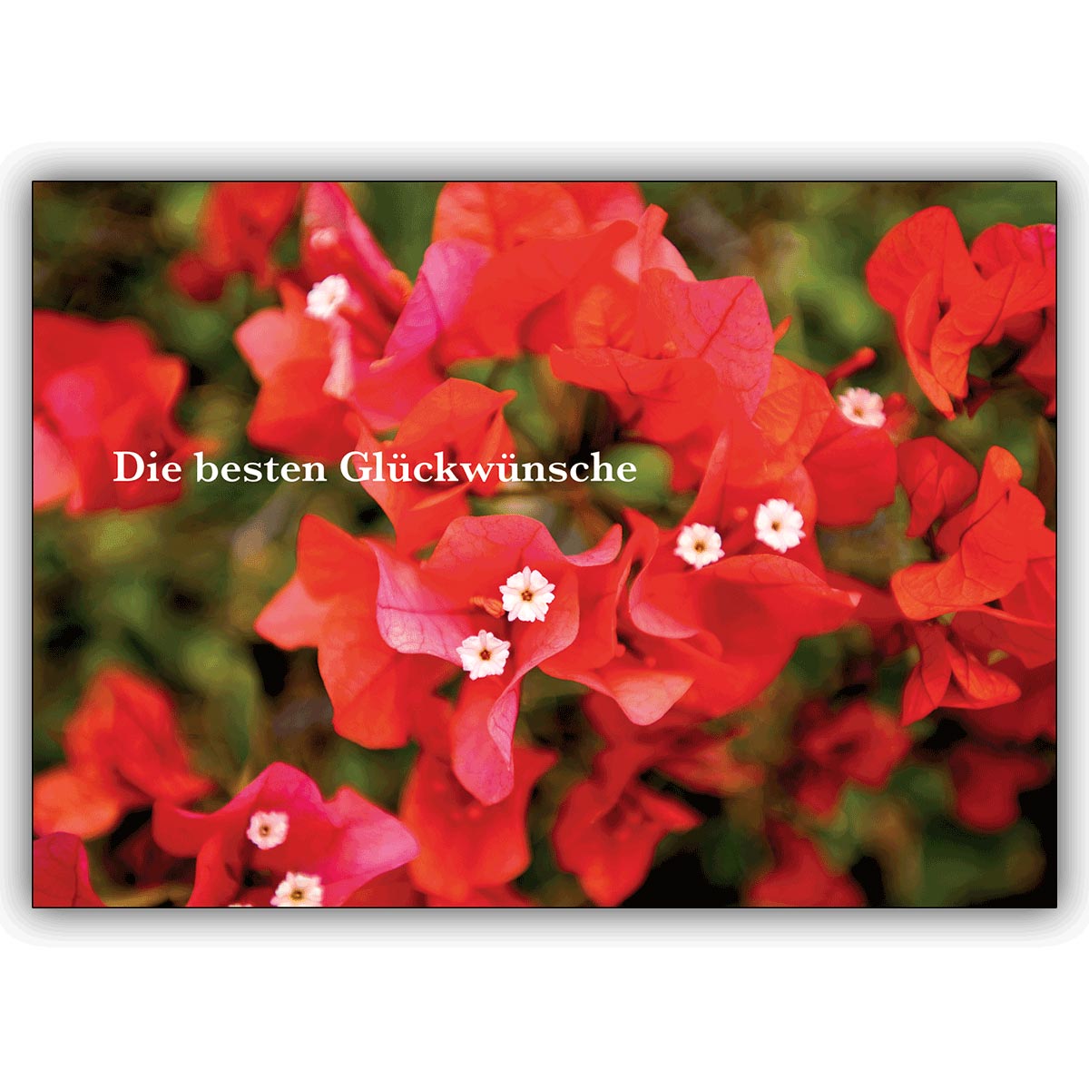 schöne Blumen Geburtstagskarte: Die besten Glückwünsche
