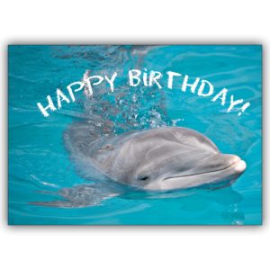Schöne Geburtstagskarte: Happy Birthday – die Tier Foto Grußkarte mit Delfin