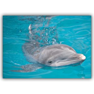 Glücksbringende Tier Foto Grußkarte mit schwimmenden Delfin