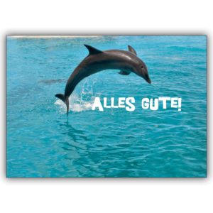 Tolle Tier Glückwunschkarte mit springendem Delfin: Alles Gute