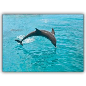 Schöne Tier Foto Grußkarte mit springendem Delfin zum Geburtstags, Geschenkkarte