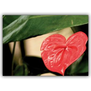 Romantische Blumen Grußkarte: Die Herz-Blume für Liebende