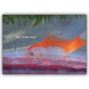 Lustige Umzugskarte mit Goldfisch: Ich ziehe um!