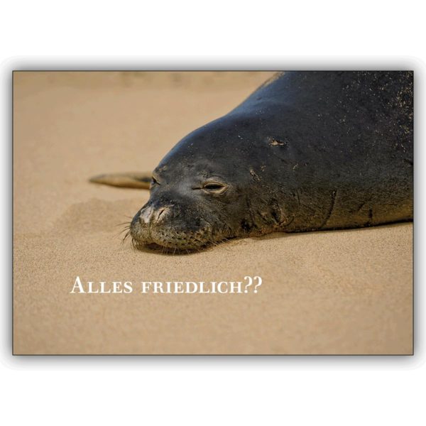 Fröhliche Tier, Robben Grußkarte: Alles friedlich??