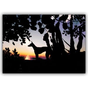 Trendige Silhouetten Klappkarte: Hund vor Sonnenuntergang