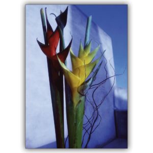 Elegante Fotokunst Blumen Grußkarte: Edle Fotokunst Blumen Grußkarte