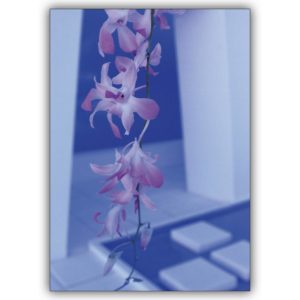 Edle Fotokunst Blumen Grußkarte: zarter Orchideen Foto Blumengruß