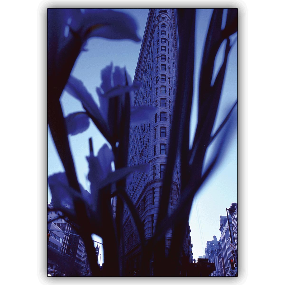 Tolle Foto Blumen Grußkarte: Das Flatiron Building, New York, durch Lilien gesehen.