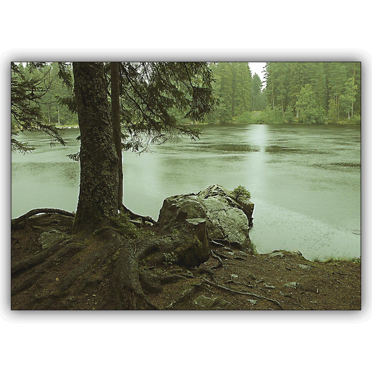Herbstliche Fotokunst Landschafts Klappkarte: Der Regen im Wald
