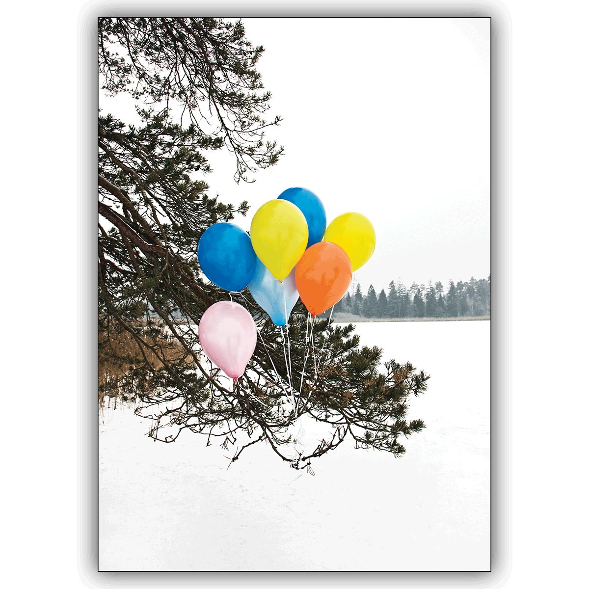 Tolle Foto Grußkarte nicht nur zum Geburtstag: Bunte Luftballons im Schnee