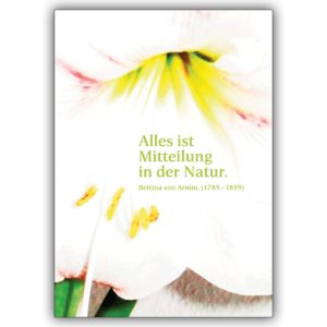 Schöne Blumen Grusskarte mit Spruch und Lilien: Alles ist Mitteilung (Bettina von Arnim)