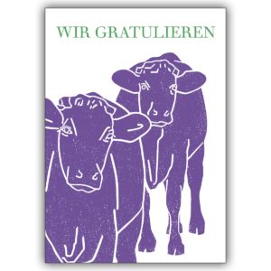 Fröhliche Geburtstagskarte mit zwei lila Kühen: Wir gratulieren
