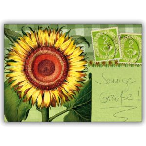 Schöne Sonnenblumen Grußkarte für sonnige Grüße!