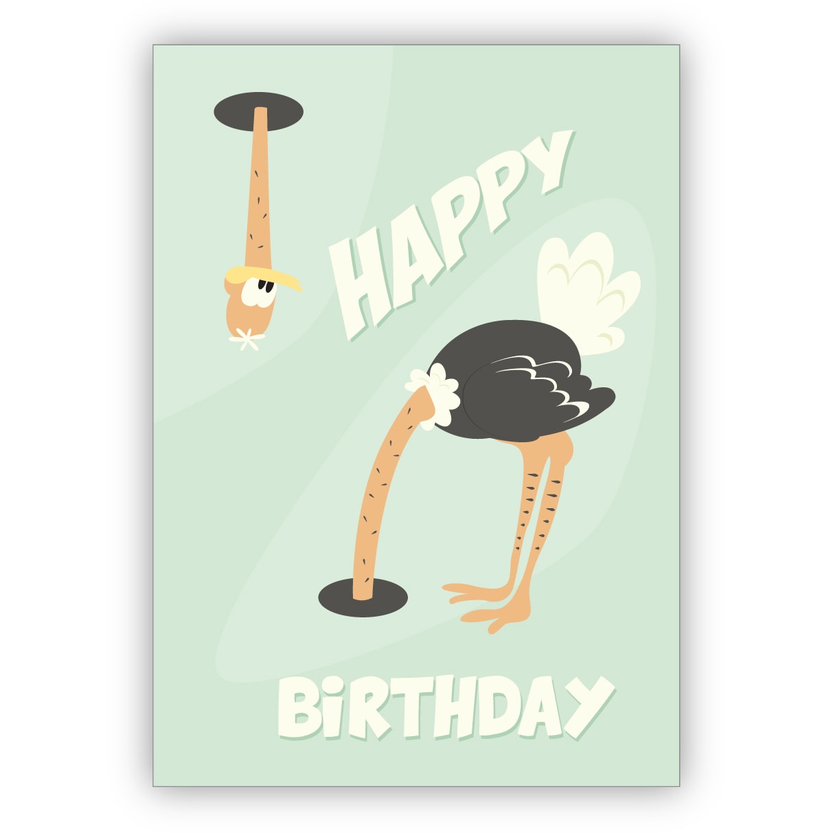 Lustige 60er Jahre Humor Geburtstagskarte Mit Vogelstrauss Happy Birthday Kartenkaufrausch De