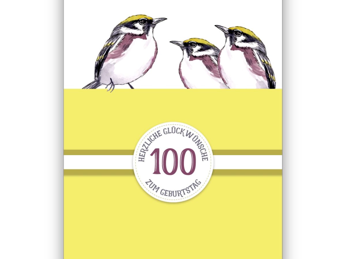 100 Geburtstagskarten Geburtstagskarte Glückwunschkarten Grußkarten sk 4771 