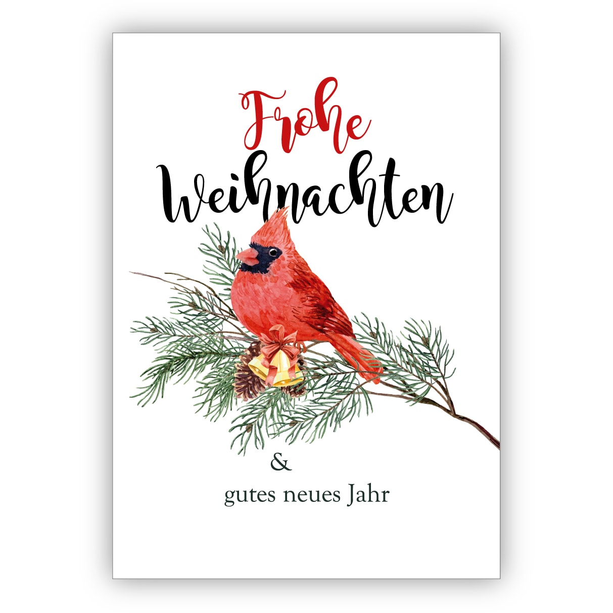 Edle klassische Weihnachtskarte mit rotem Vogel auf Kiefernzweig: Frohe Weihnachten & gute neues Jahr