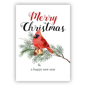 Edle klassische Weihnachtskarte mit rotem Vogel auf Kiefernzweig: Merry Christmas & a happy new year