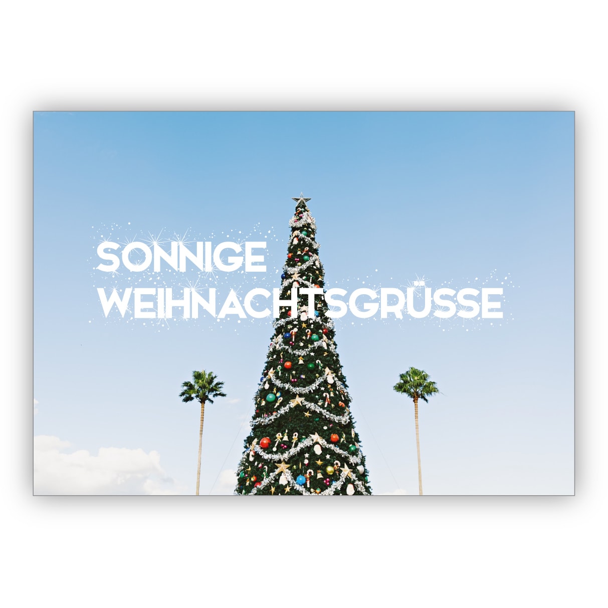 Lustige warme Foto Weihnachtskarte mit Palmen: Sonnige Weihnachtsgrüße