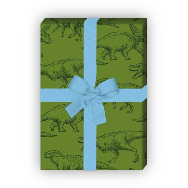 Kartenkaufrausch: Klassisches Dinosaurier Geschenkpapier für aus unserer Kinder Papeterie in grün