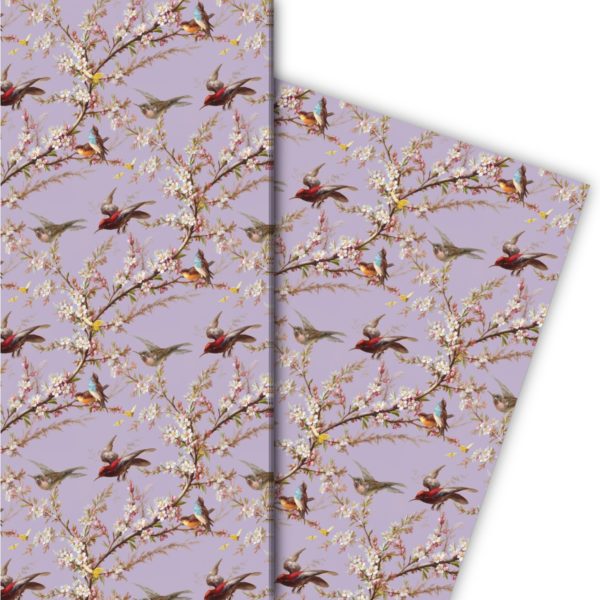 Kartenkaufrausch: Frühlings Geschenkpapier mit Blüten aus unserer florale Papeterie in lila