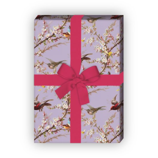 Kartenkaufrausch: Frühlings Geschenkpapier mit Blüten aus unserer florale Papeterie in lila