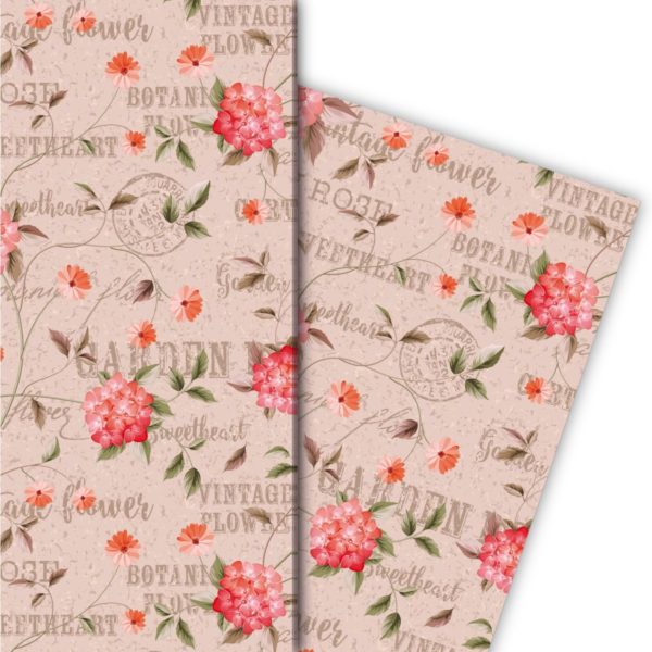 Kartenkaufrausch: Botanisches Shabby Chic Geschenkpapier aus unserer florale Papeterie in rosa