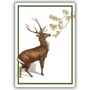 Feine Grußkarte Klappkarte mit Hirsch nicht nur zu Weihnachten