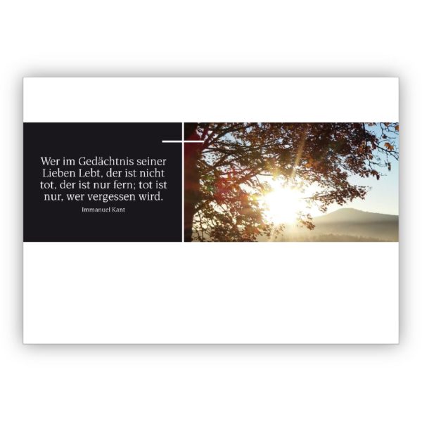 Beistehende Trauerkarte, Kondolenzkarte mit Landschaft und Albert Schweizer Zitat um Hoffnung zu schenken