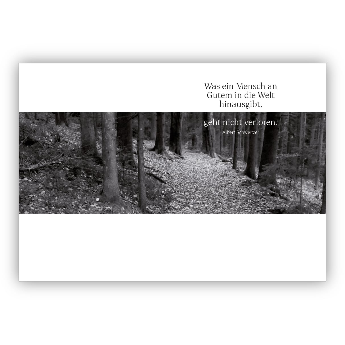 Edle moderne Trauerkarte, Kondolenzkarte in schwarz,weiß mit Waldweg
