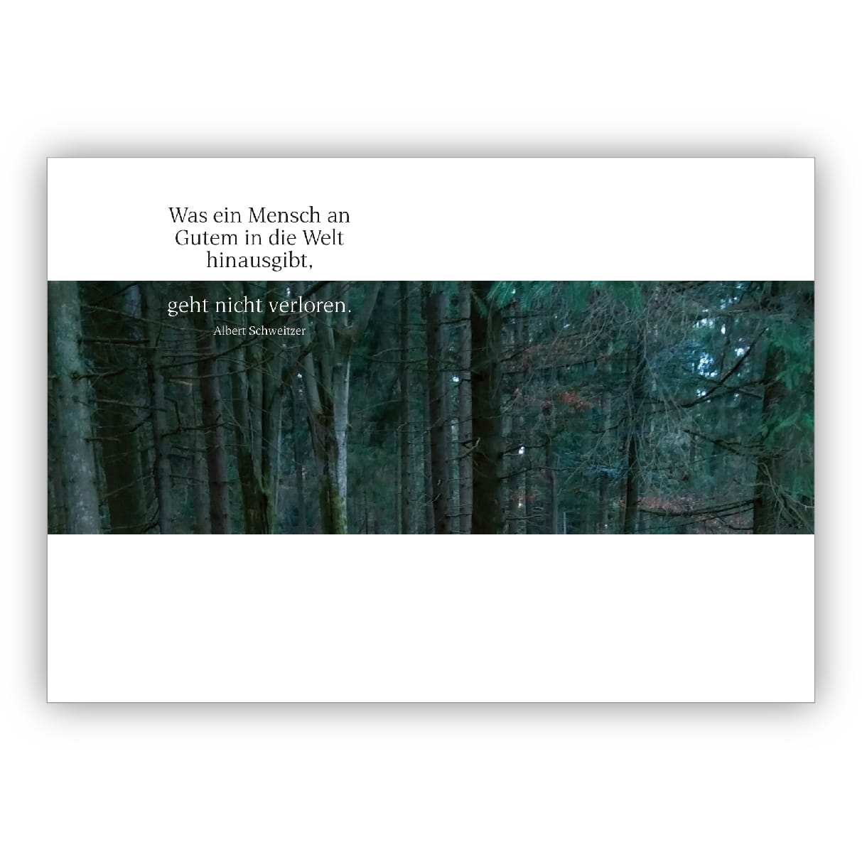 Moderne Foto Trauerkarte, Kondolenzkarte mit Wald in grün