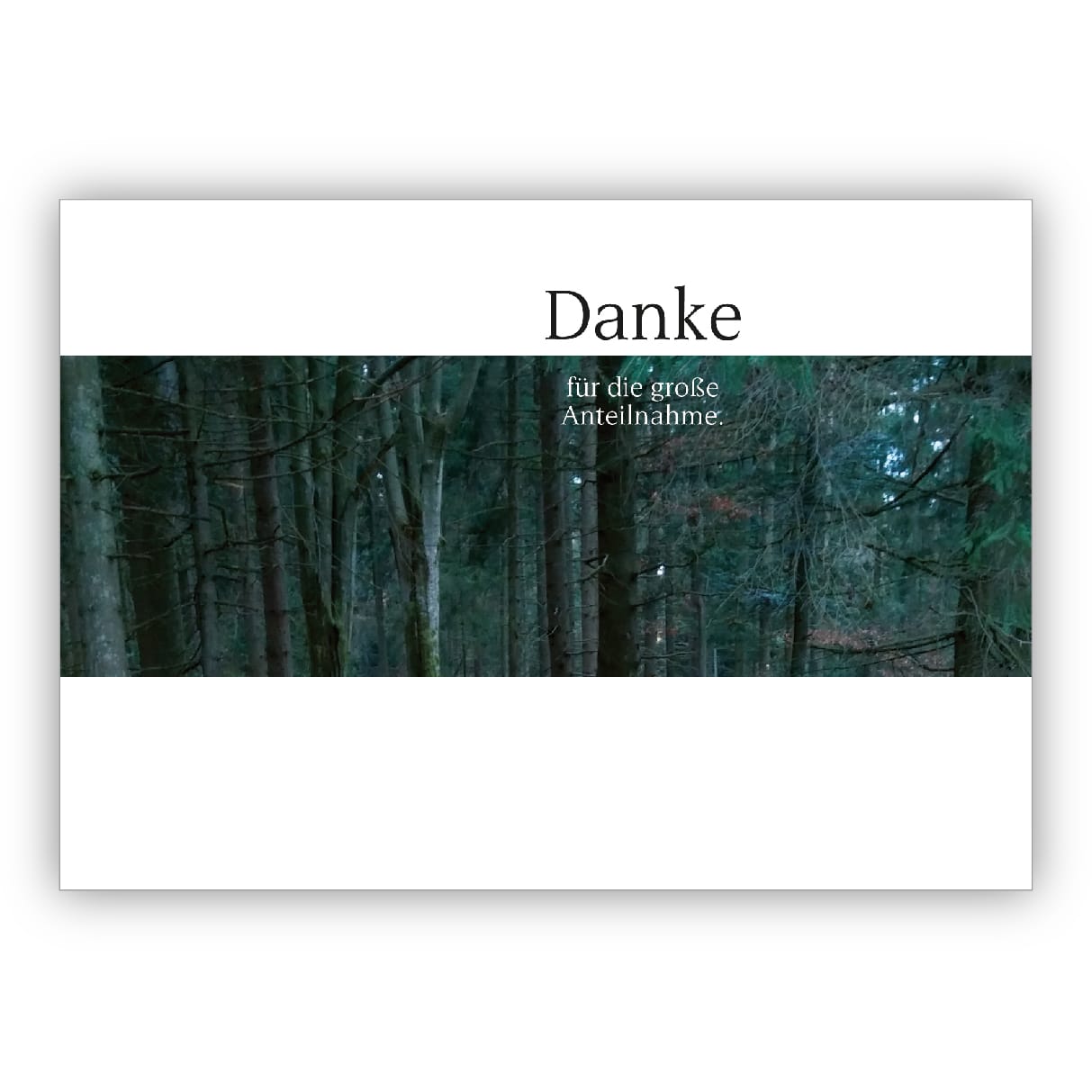 Moderne Foto Trauer Dankeskarte mit Wald in grün