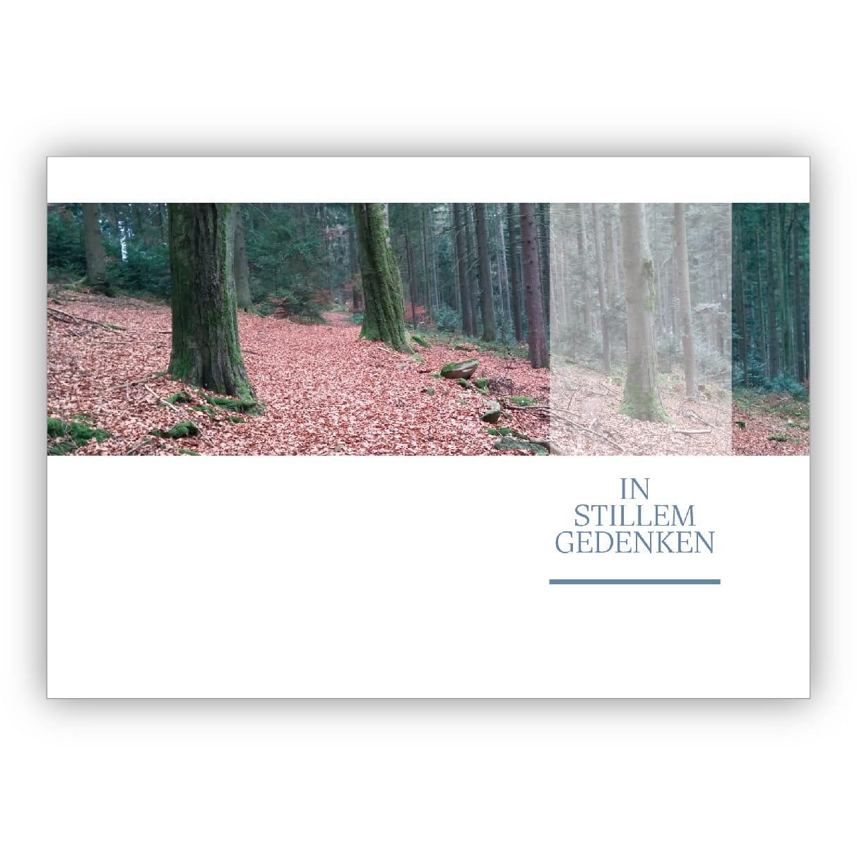 Moderne Foto Trauerkarte, Kondolenzkarte mit friedlichem Wald