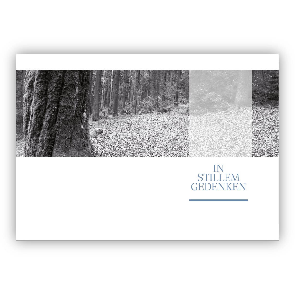 Friedliche Foto Trauerkarte, Kondolenzkarte mit Wald, schwarz weiß