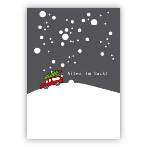 Lustige Weihnachtskarte mit Auto im nächtlichen Schneetreiben und Tannenbaum: Alles im Sack