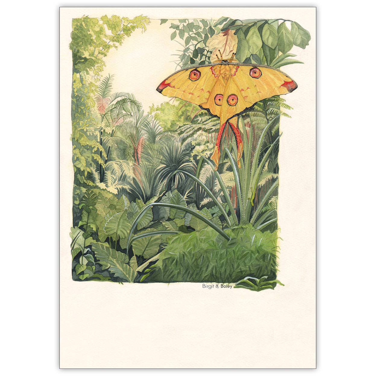 traumhafte Grußkarte mit Schmetterling vor Dschungel Hintergrund